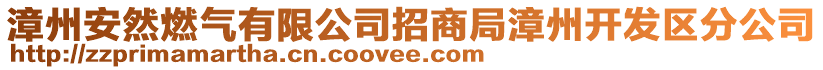 漳州安然燃?xì)庥邢薰菊猩叹终闹蓍_發(fā)區(qū)分公司