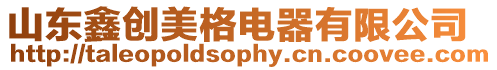 山東鑫創美格電器有限公司