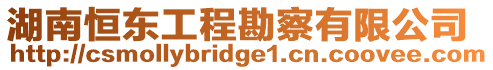 湖南恒東工程勘察有限公司