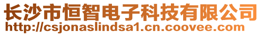 長沙市恒智電子科技有限公司