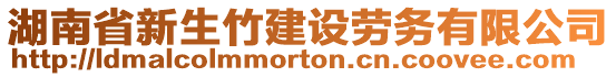 湖南省新生竹建設(shè)勞務有限公司
