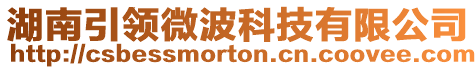 湖南引領(lǐng)微波科技有限公司