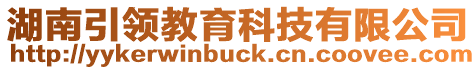 湖南引領教育科技有限公司