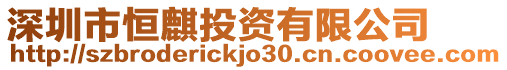 深圳市恒麒投資有限公司