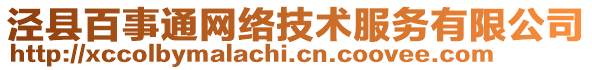 涇縣百事通網絡技術服務有限公司