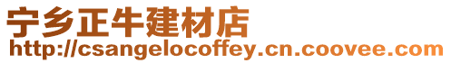 寧鄉(xiāng)正牛建材店