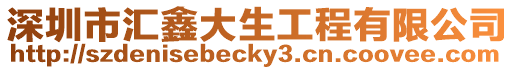 深圳市匯鑫大生工程有限公司