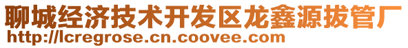 聊城經濟技術開發區龍鑫源拔管廠