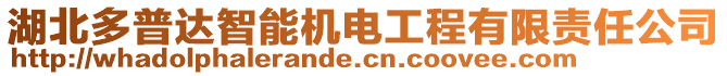 湖北多普達智能機電工程有限責任公司