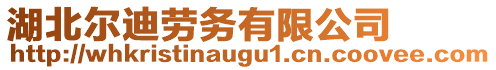 湖北爾迪勞務有限公司