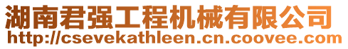 湖南君強工程機械有限公司