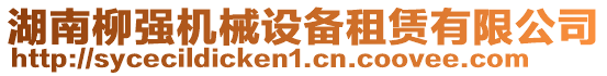 湖南柳強(qiáng)機(jī)械設(shè)備租賃有限公司