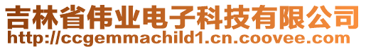 吉林省偉業電子科技有限公司