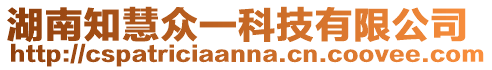 湖南知慧眾一科技有限公司