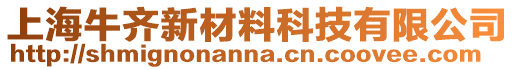 上海牛齊新材料科技有限公司