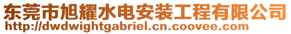 東莞市旭耀水電安裝工程有限公司
