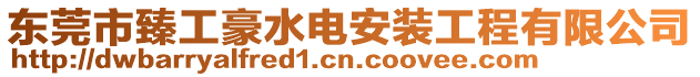 東莞市臻工豪水電安裝工程有限公司