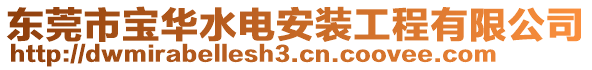 東莞市寶華水電安裝工程有限公司