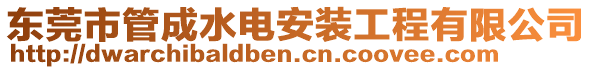 東莞市管成水電安裝工程有限公司