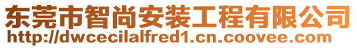 東莞市智尚安裝工程有限公司