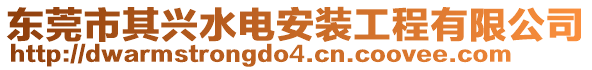 東莞市其興水電安裝工程有限公司