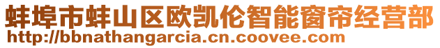 蚌埠市蚌山區(qū)歐凱倫智能窗簾經(jīng)營(yíng)部