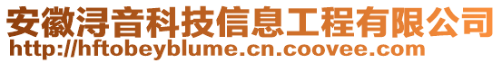 安徽潯音科技信息工程有限公司