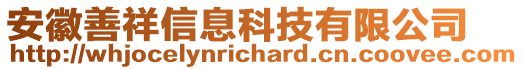安徽善祥信息科技有限公司