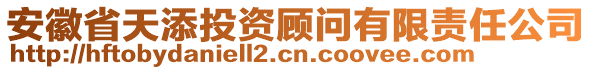 安徽省天添投資顧問有限責任公司