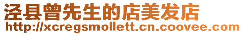 涇縣曾先生的店美發店
