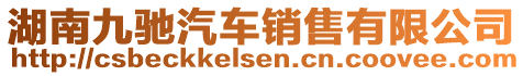 湖南九馳汽車銷售有限公司