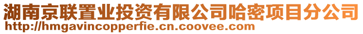 湖南京聯(lián)置業(yè)投資有限公司哈密項目分公司