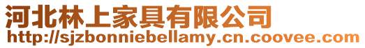 河北林上家具有限公司
