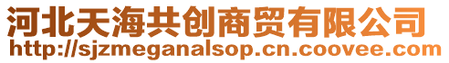 河北天海共創(chuàng)商貿有限公司