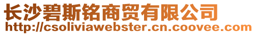 長(zhǎng)沙碧斯銘商貿(mào)有限公司