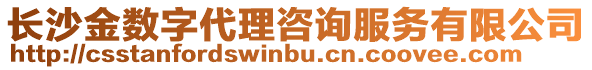 長沙金數字代理咨詢服務有限公司