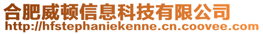 合肥威頓信息科技有限公司