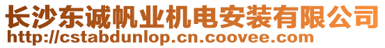 長沙東誠帆業(yè)機電安裝有限公司