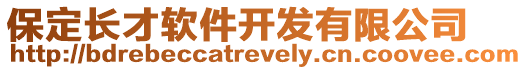 保定長才軟件開發有限公司