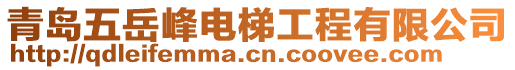 青島五岳峰電梯工程有限公司