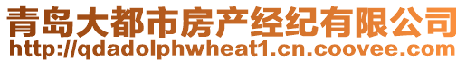 青島大都市房產(chǎn)經(jīng)紀(jì)有限公司