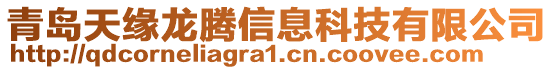 青島天緣龍騰信息科技有限公司