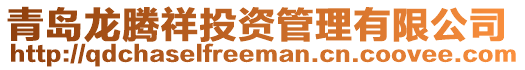 青島龍騰祥投資管理有限公司