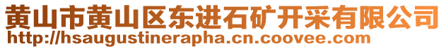 黃山市黃山區(qū)東進石礦開采有限公司