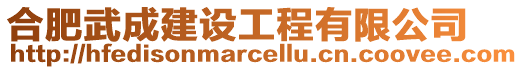 合肥武成建設(shè)工程有限公司