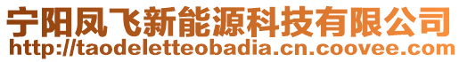 寧陽鳳飛新能源科技有限公司