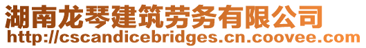 湖南龍琴建筑勞務有限公司