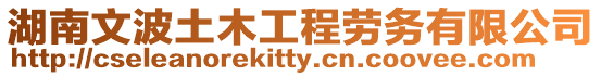湖南文波土木工程勞務有限公司