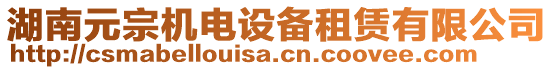 湖南元宗機電設(shè)備租賃有限公司