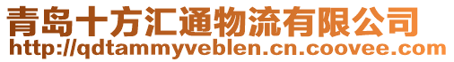 青島十方匯通物流有限公司